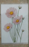 Heat Transfer Sticker With White Background