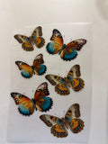 Heat Transfer Sticker