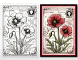 Silicone Clear Stamp